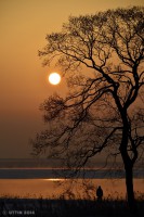 /album/photo-gallery-silhouette/%e6%97%a5%e3%81%ae%e5%87%ba%e3%81%ae%e3%82%b7%e3%83%ab%e3%82%a8%e3%83%83%e3%83%88%e3%80%80%ef%bd%9e%e6%ad%93%e5%96%9c%ef%bd%9e2-jpg/